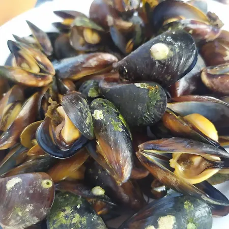 Valchevi Pensión Chernomorets