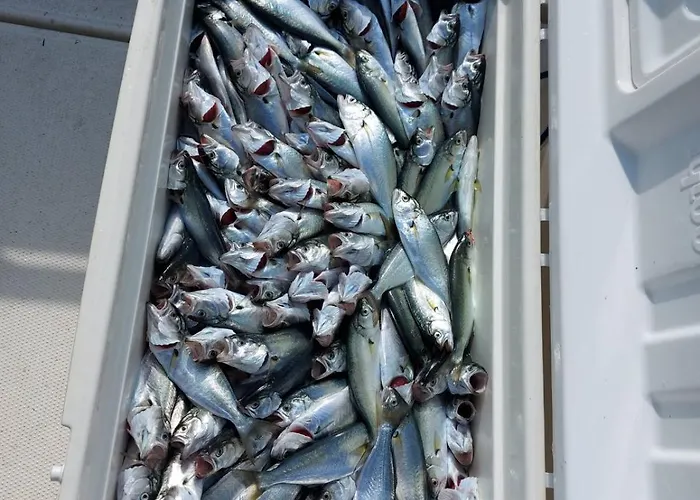 Guest house Valchevi 3*