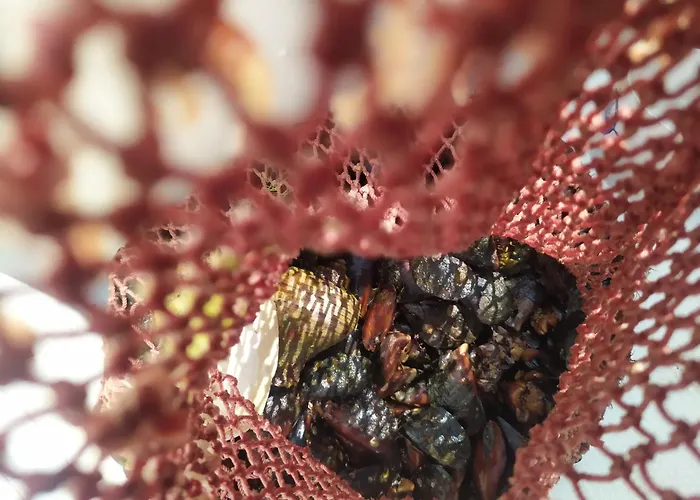 Guest house Valchevi 3*